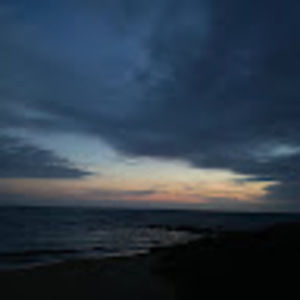 Meet your Posher, Bridgette